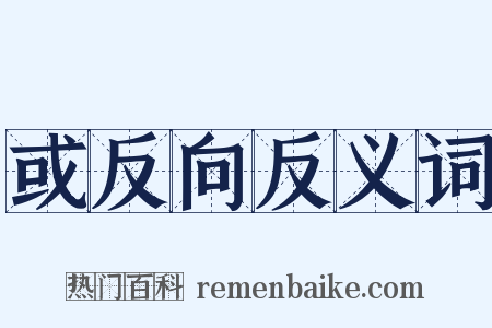 或反向反义词是什么意思的图片